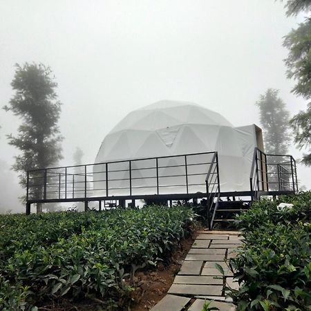 Vythiri Tea Valley I Best Hotel In Wayanad L Hotels In Vythiri Wayanad Eksteriør bilde