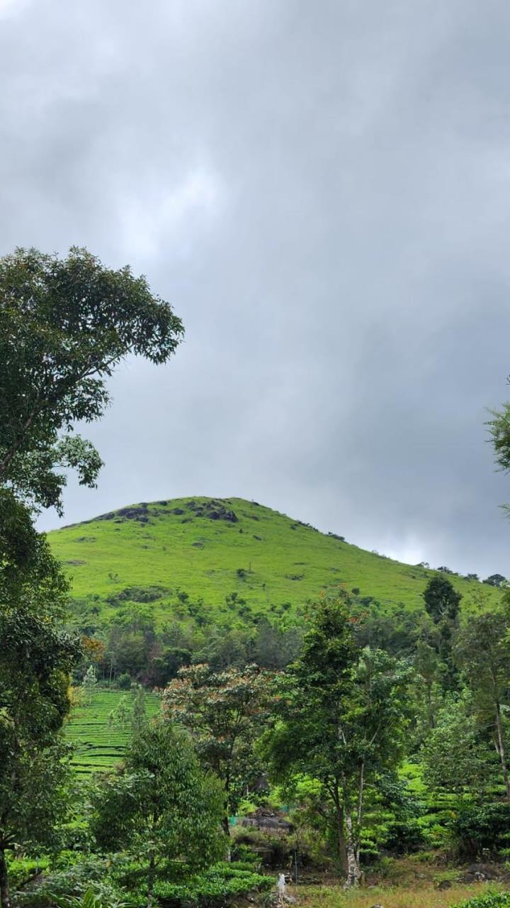 Vythiri Tea Valley I Best Hotel In Wayanad L Hotels In Vythiri Wayanad Eksteriør bilde