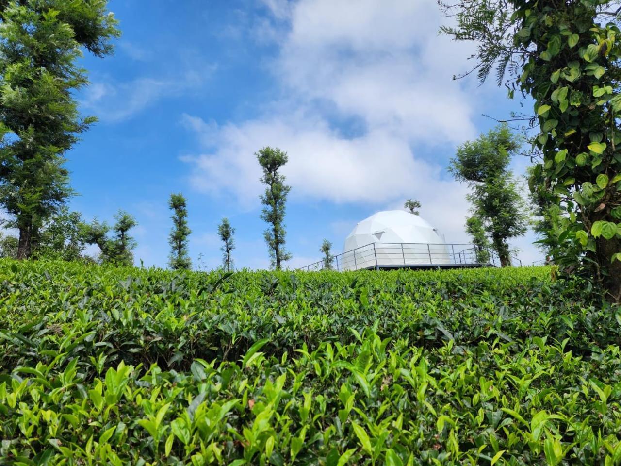 Vythiri Tea Valley I Best Hotel In Wayanad L Hotels In Vythiri Wayanad Eksteriør bilde